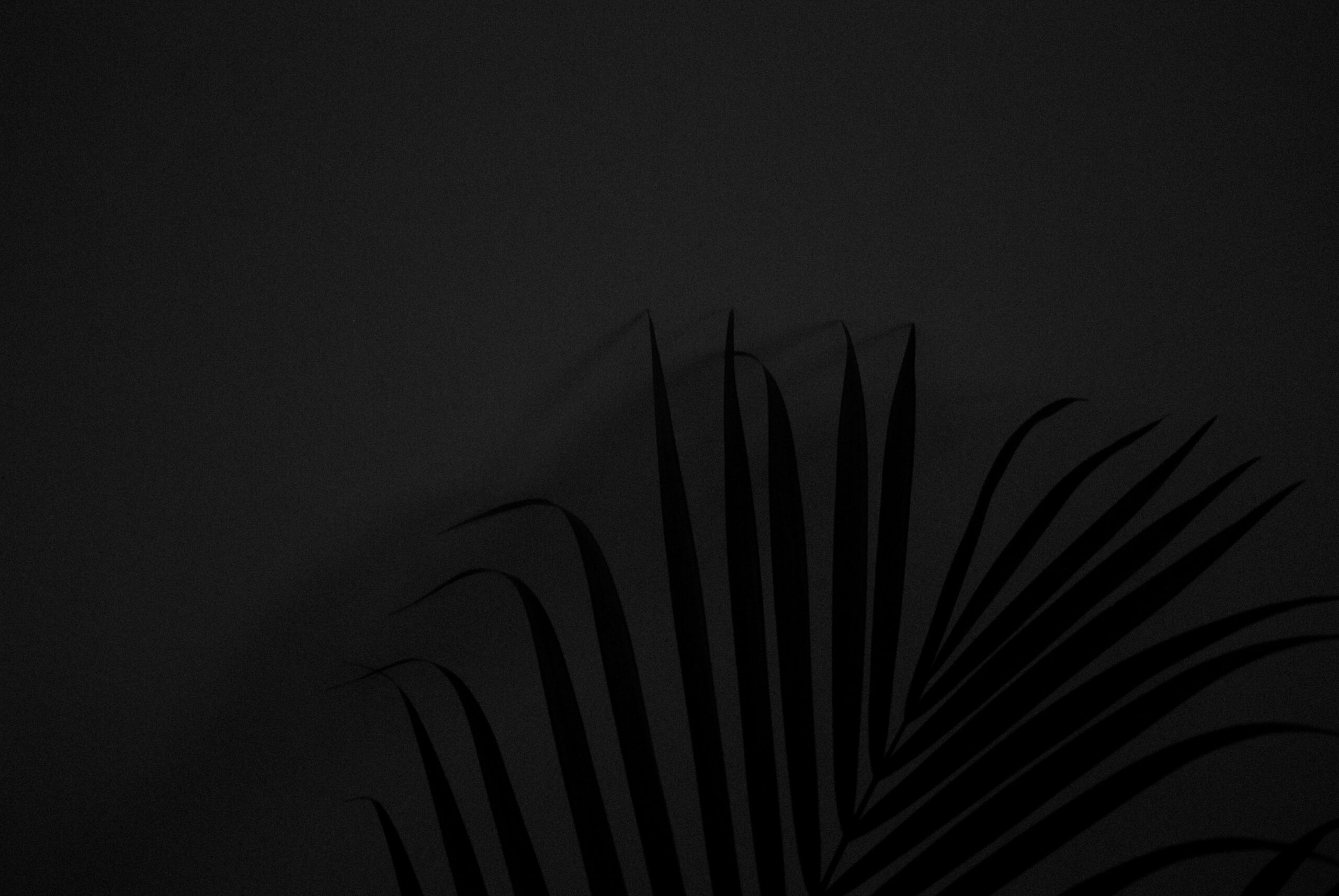 akshar-dave-BcvPlibJyo0-unsplash